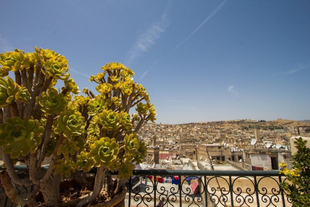 Riad La Source Bleue Fez Quarto foto